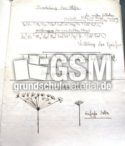Schulheft-2.jpg